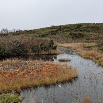 経ヶ岳・法恩寺山 青空のうちに撮っとけばよかった😓