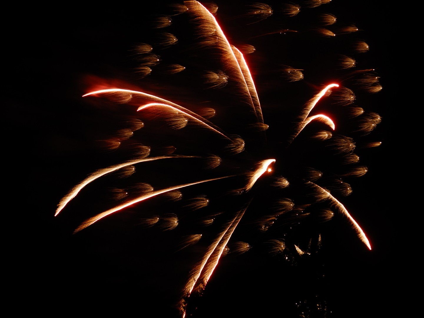 昨日 神石高原ティアガルテンの花火を見に かずかずさんのモーメント Yamap ヤマップ