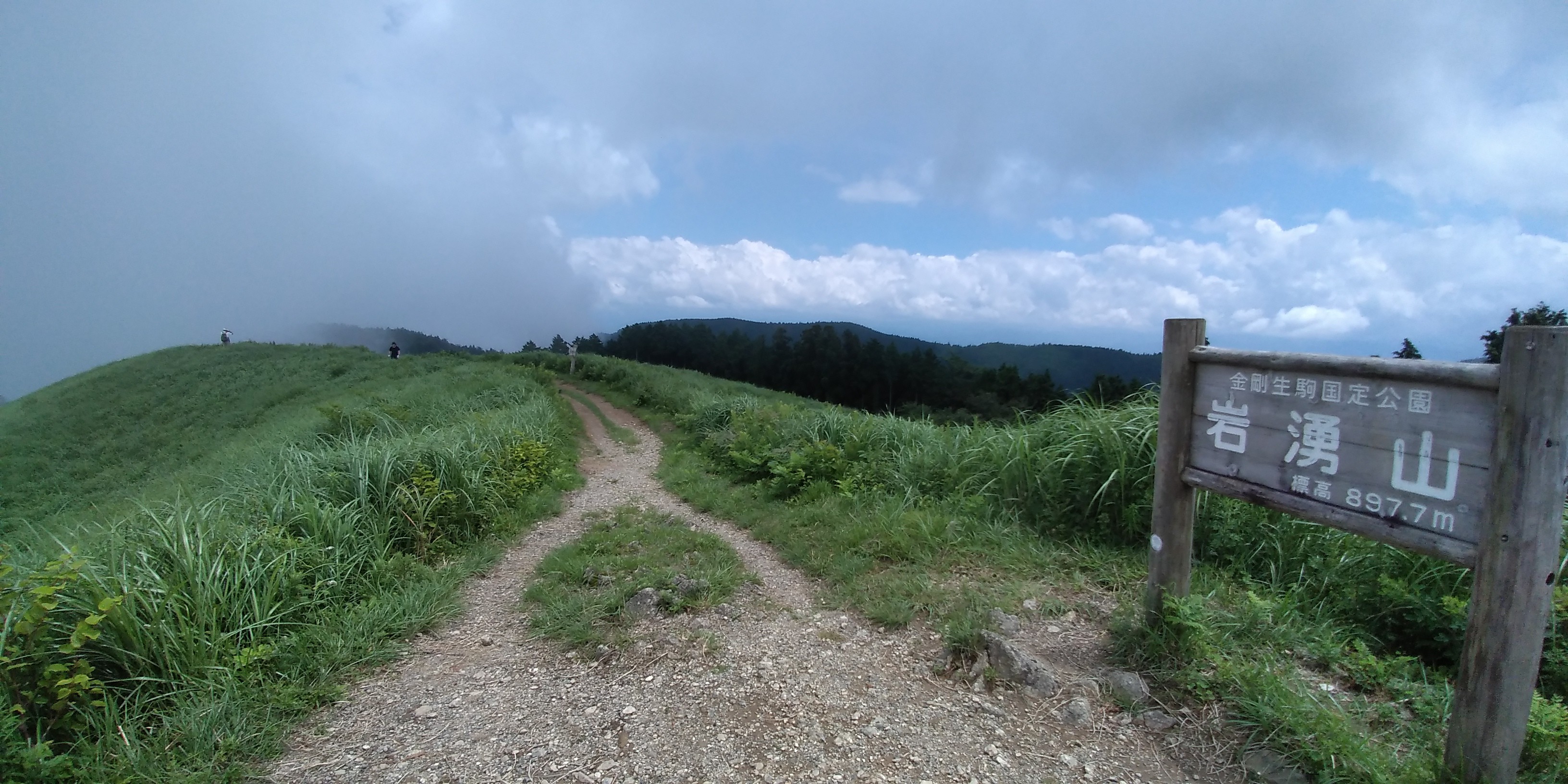 岩湧山 血湧き 岩湧き 花も湧く いわわき きゅうざか Banchanvinさんの岩湧山 一徳防山 三石山の活動日記 Yamap ヤマップ