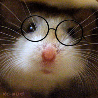 めがねロボ
