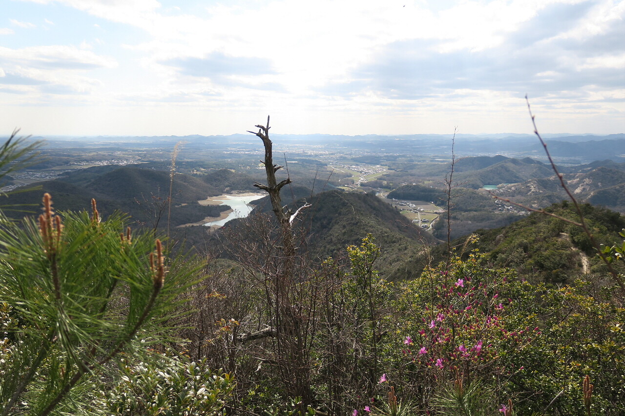 三草山（兵庫県加東市）20200405 / lavieさんの三草山の活動データ YAMAP / ヤマップ