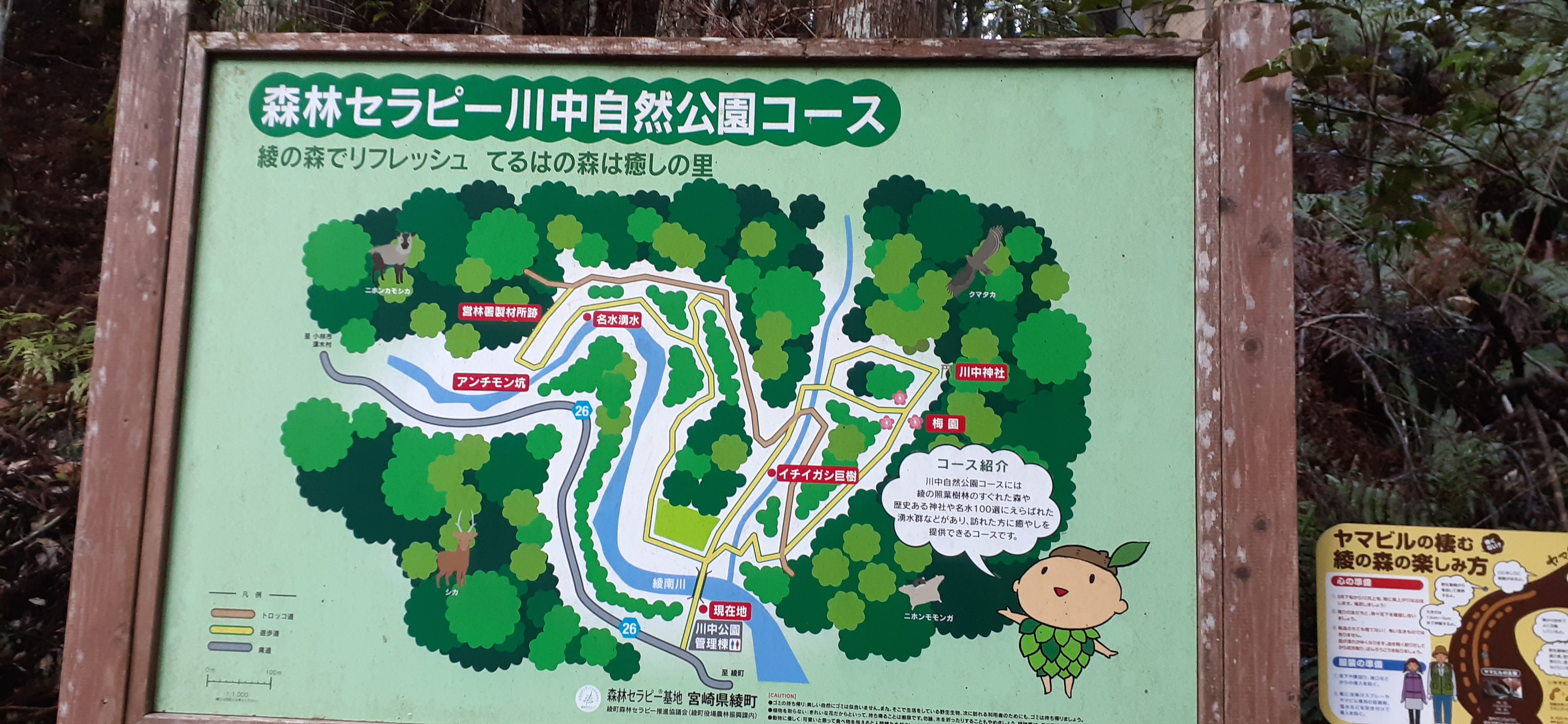 川中神社と綾の照葉樹林散策 道なき道を行くの巻き きょーちゃんさんの綾町の活動データ Yamap ヤマップ