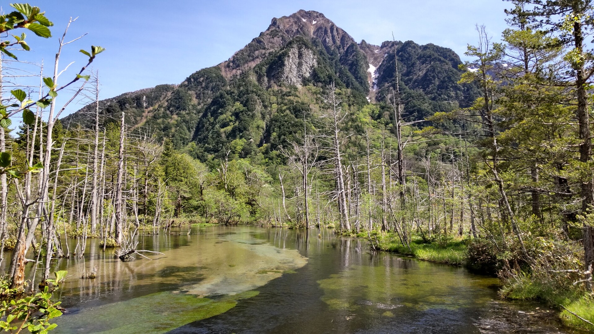 上高地の春 花と景色を大満喫の散策 槍ヶ岳 穂高岳 上高地の写真62枚目 岳沢湿原の向こうには六百山の勇姿 Yamap ヤマップ