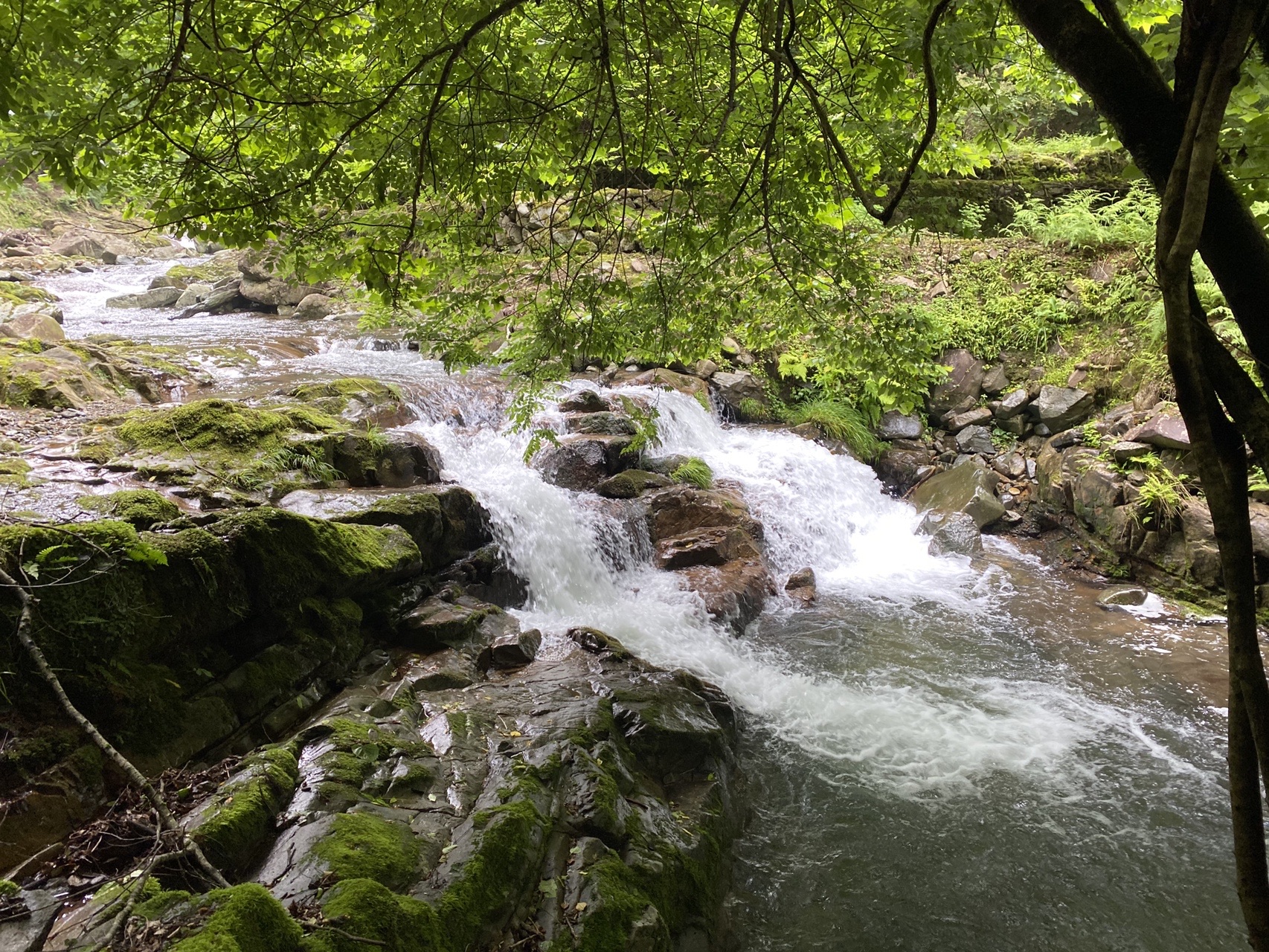 涼を求めて阿瀬渓谷 ウォーキング Ma Chan33さんのウォーキングの活動日記 Yamap ヤマップ