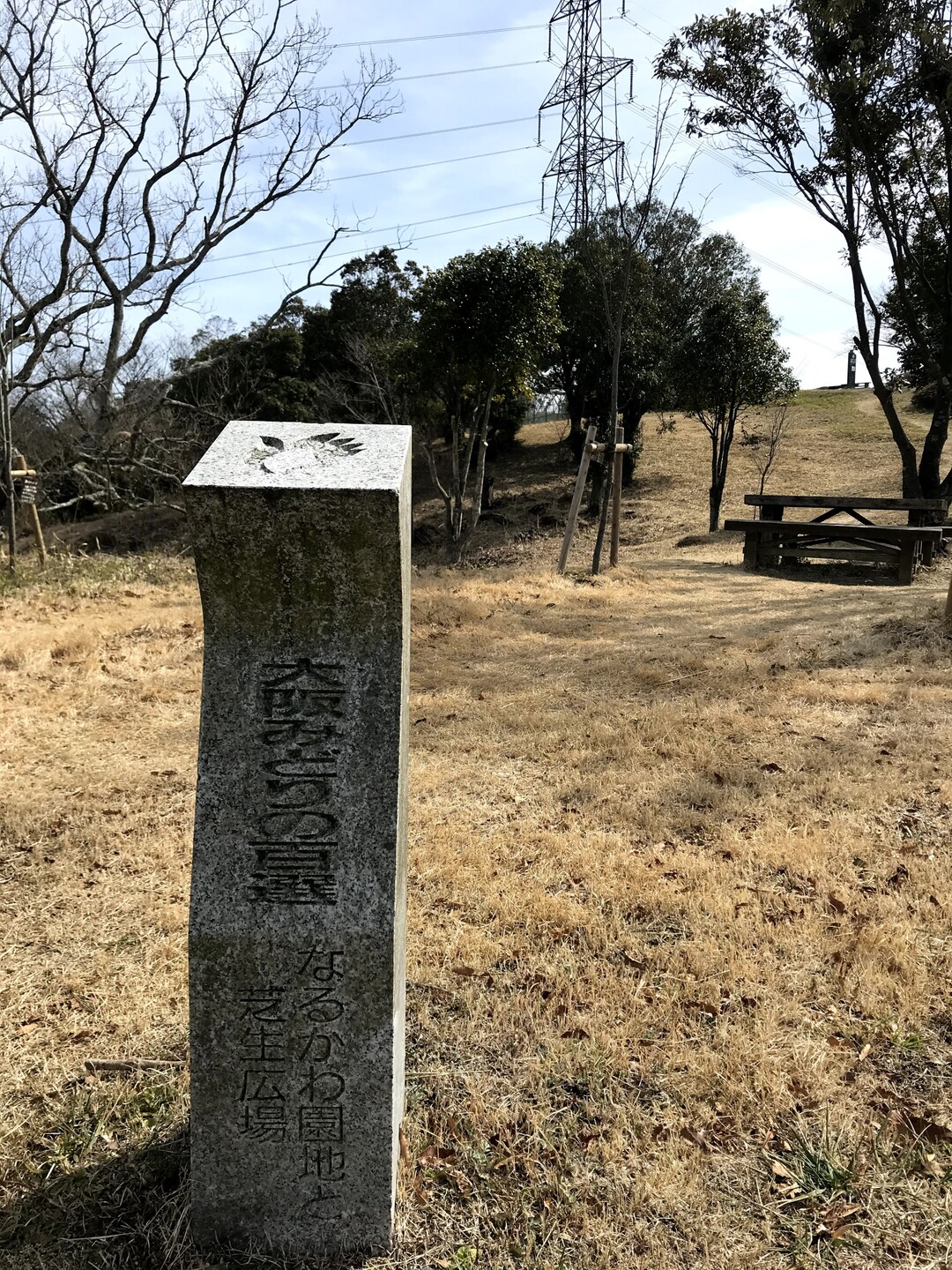 生駒山系ハイク 枚岡神社 柏原駅まで 生駒山 神津嶽 大原山の写真11枚目 Yamap ヤマップ