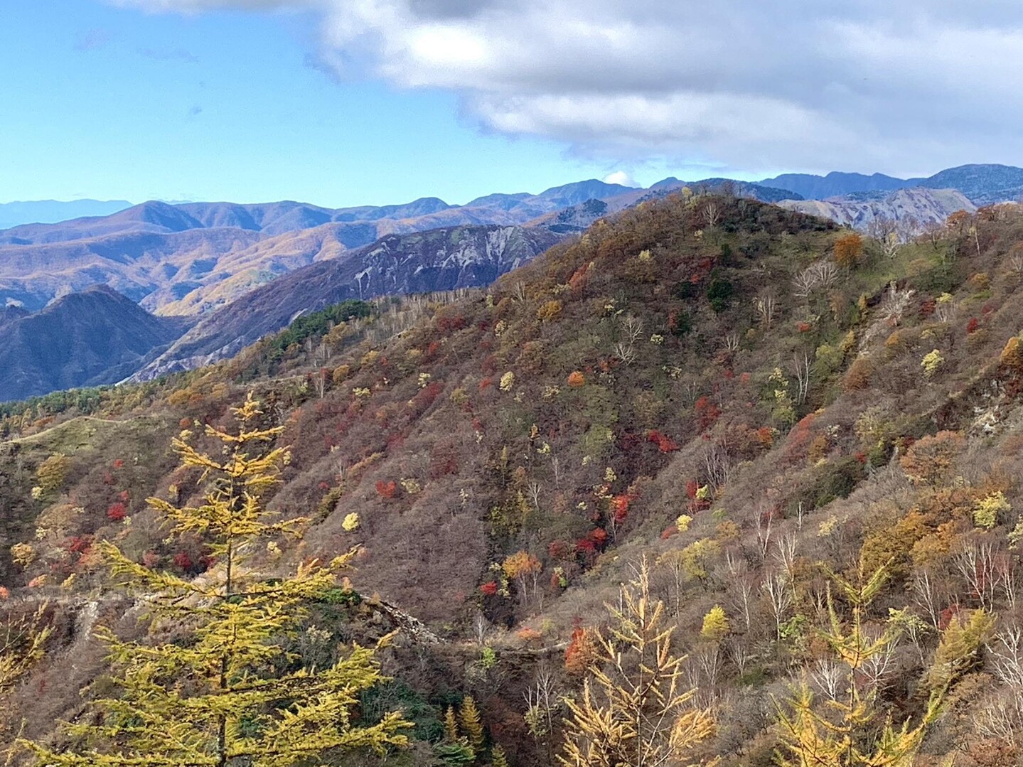 社山 / いと🧵さんの社山・半月山の活動データ YAMAP / ヤマップ