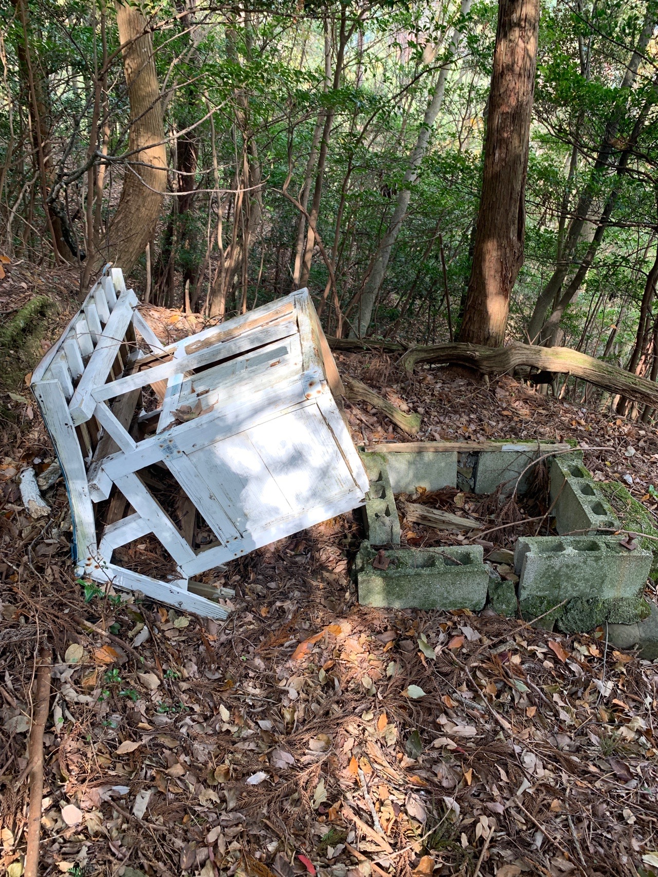 ふっはっはっ 見ろ 汗が滝の様だ しんにぃさんの四国遍路その15の活動日記 Yamap ヤマップ