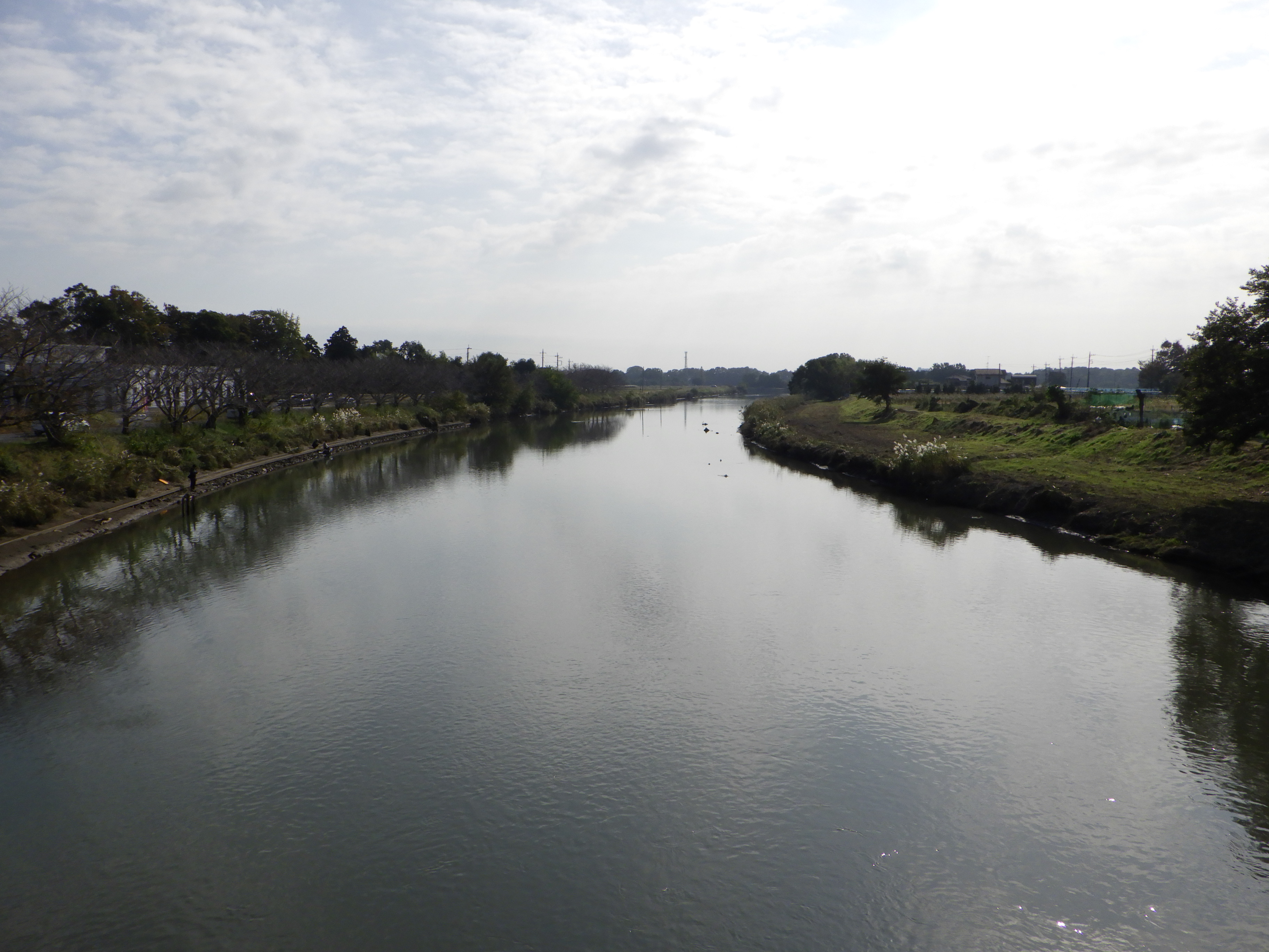 蓮田市 秋の久伊豆神社と黒浜貝塚 まさ10さんのさいたま市の活動日記 Yamap ヤマップ