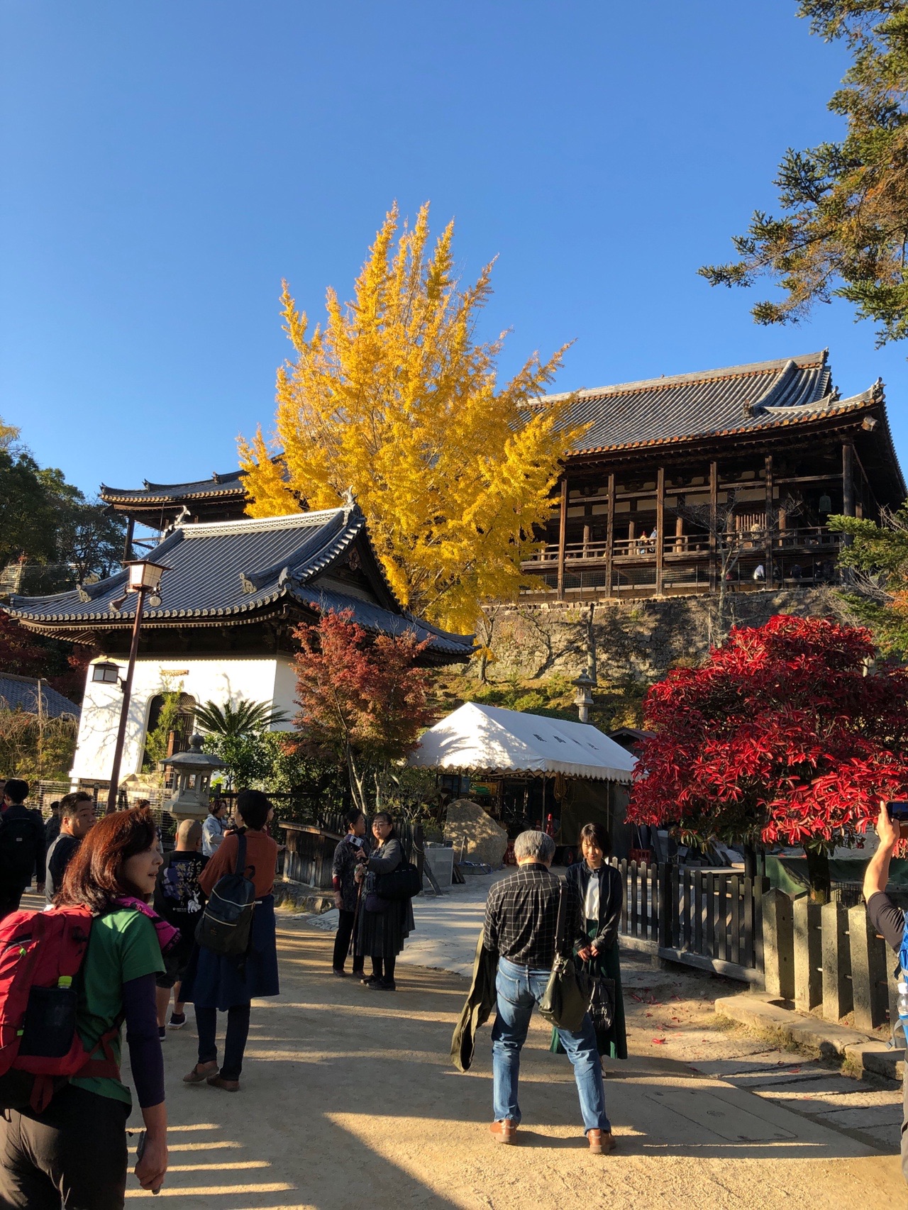 宮島 厳島 弥山 19 11 23 Eikobutaさんの宮島 厳島 弥山の活動データ Yamap ヤマップ