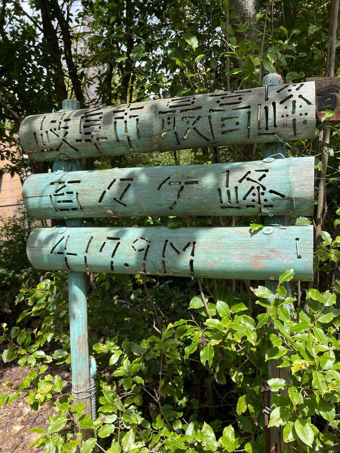 権現山・百々ヶ峰 / まるちゃんさんの百々ヶ峰・源太峰の活動データ YAMAP / ヤマップ