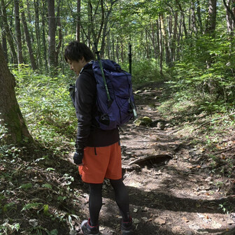 のびのびのびた