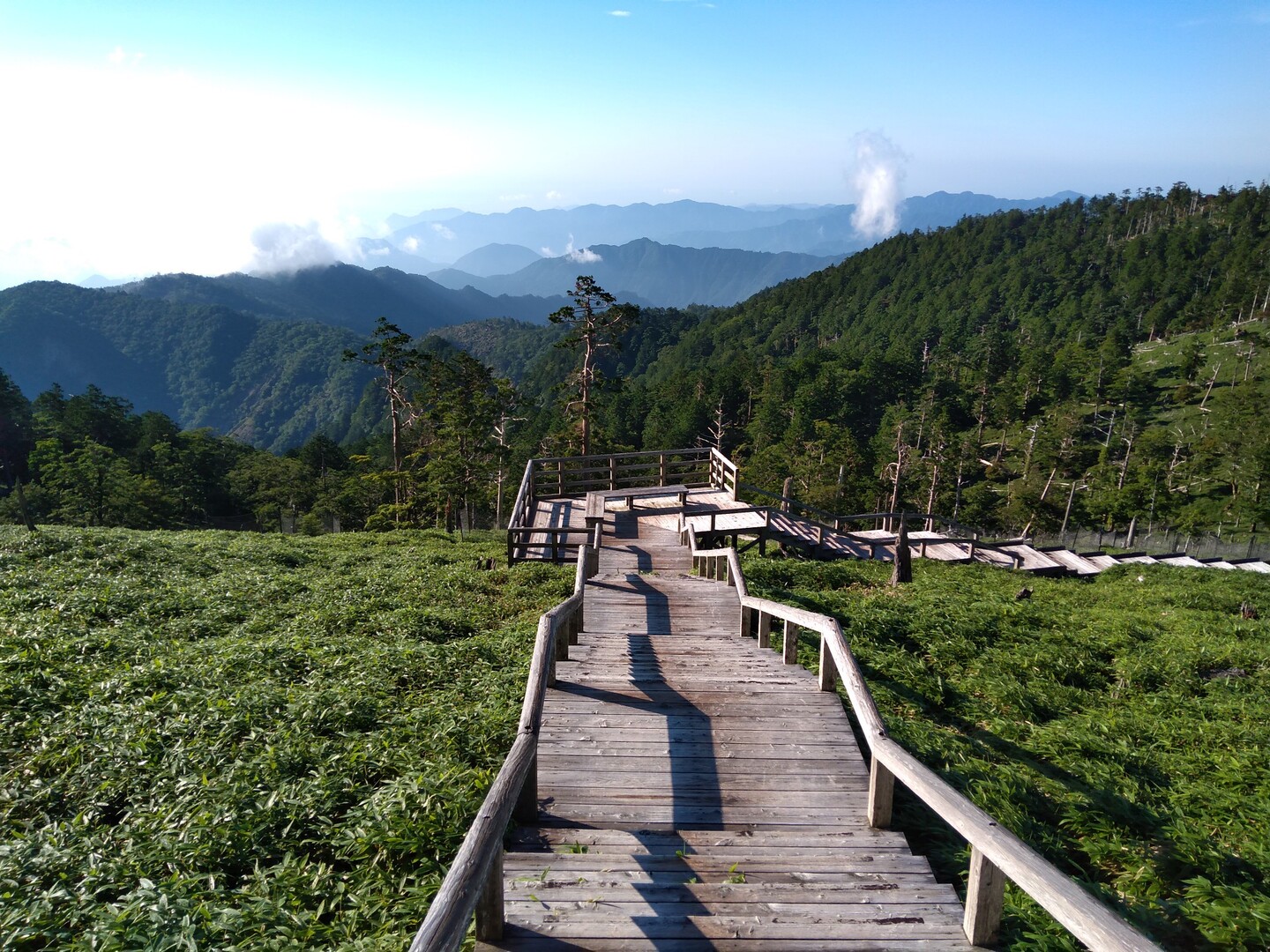 大台ヶ原で 星空と登山を楽しむ キッシーさんの大台ヶ原山 日出ヶ岳 大杉谷の活動日記 Yamap ヤマップ