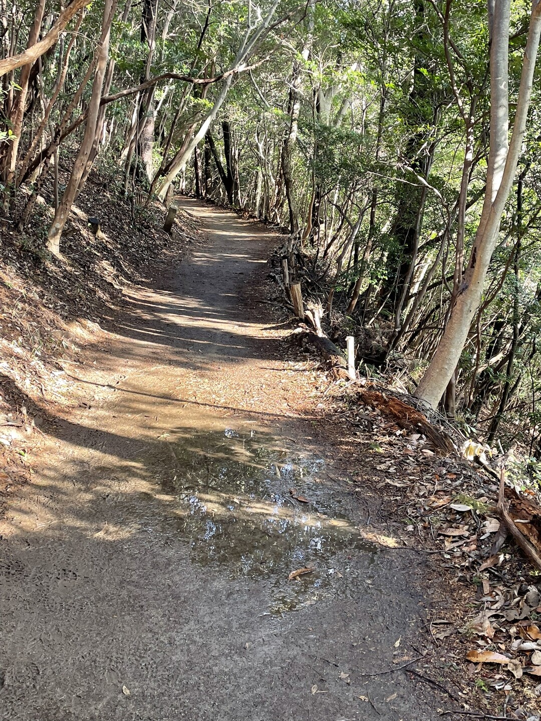 2月20日 愛知県 本宮山 晴れ☀️ 今... / ISOさんのモーメント YAMAP / ヤマップ