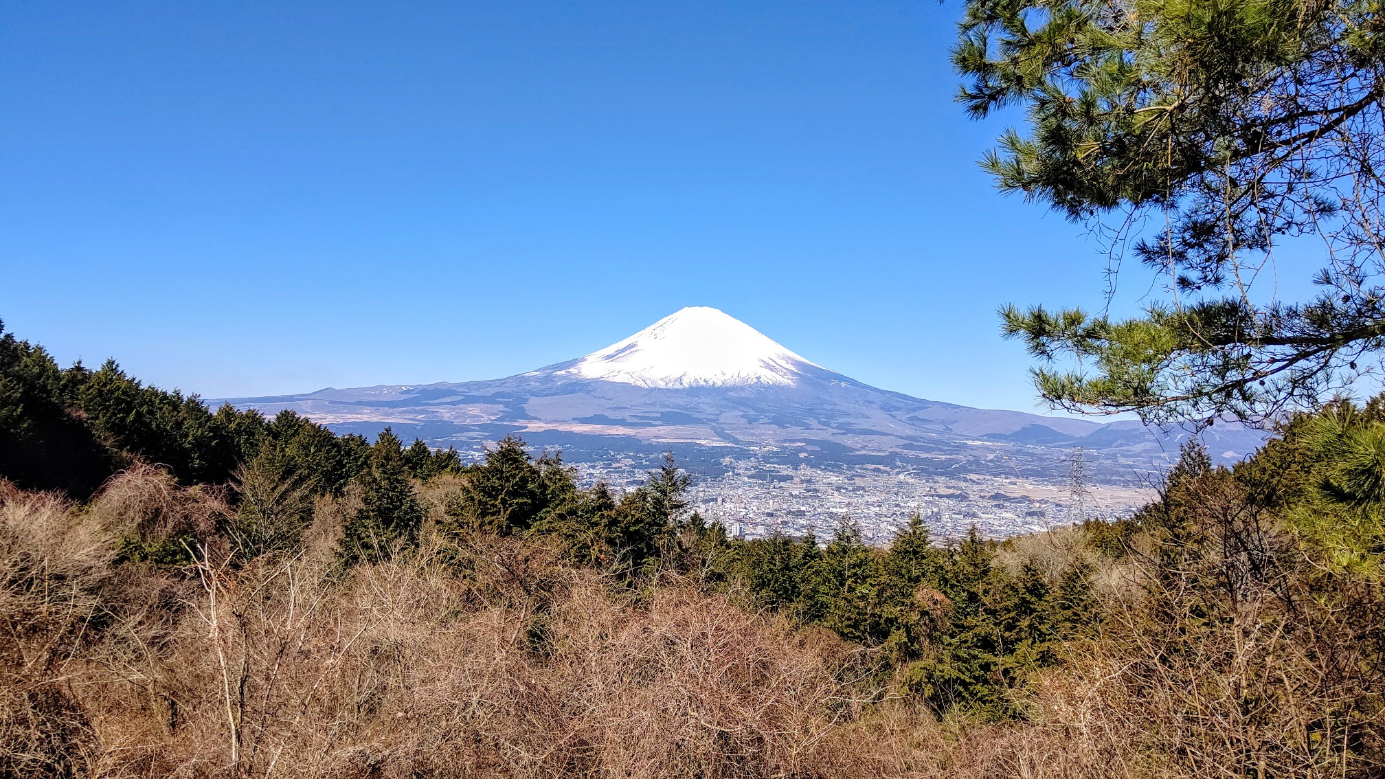 復活の箱根から見る富士山 まーぼーさんの金時山 明神ヶ岳の活動データ Yamap ヤマップ