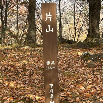 片山　山頂