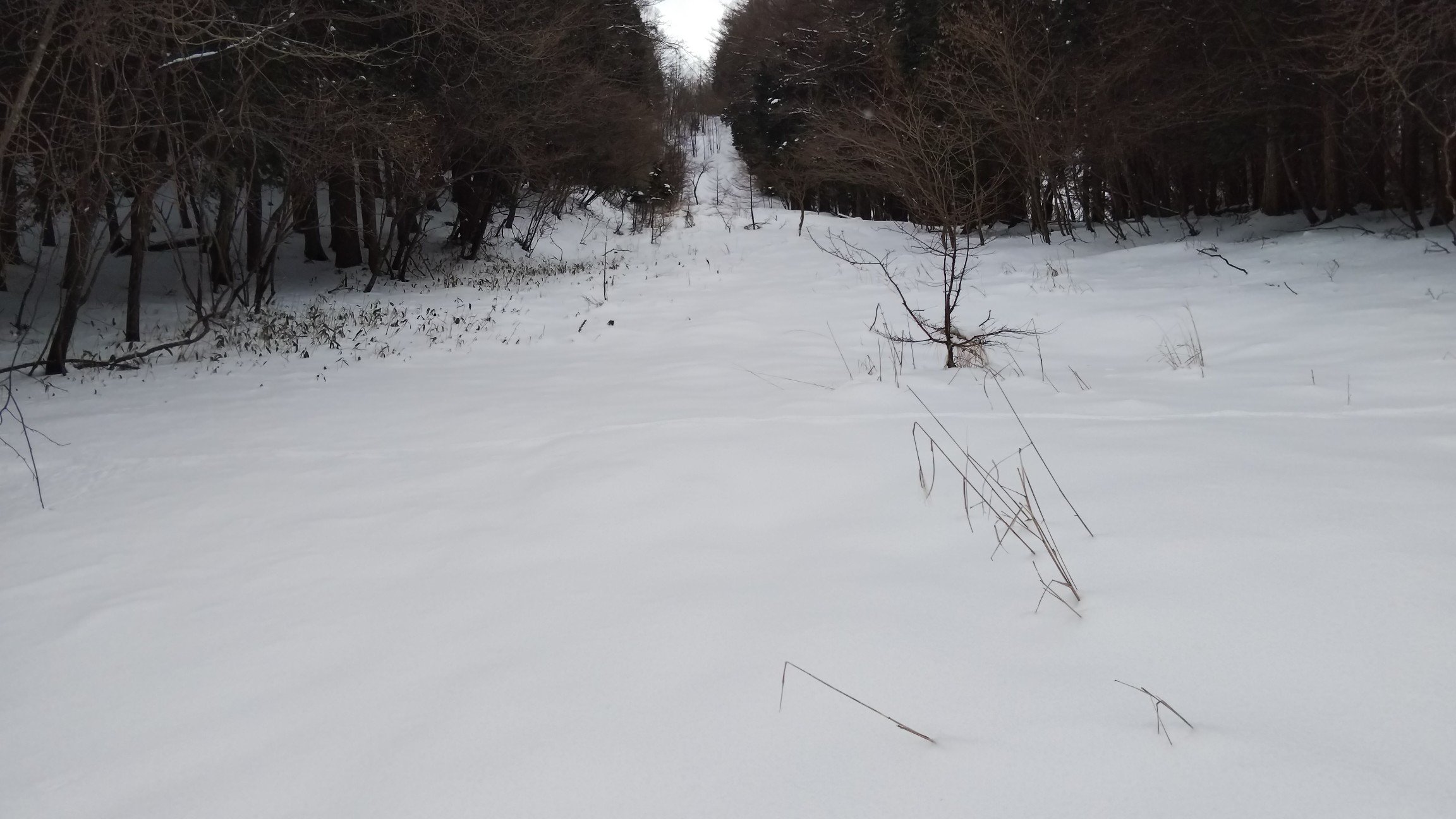 ノントレース～ワカンで新雪を登って行きます
