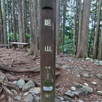 鋸山山頂は景色なし