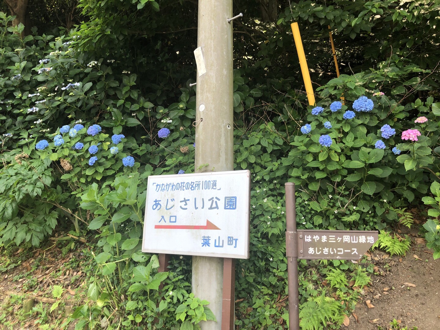 葉山町トレイルラン二ング カスタードさんの鷹取山 横須賀市 逗子市 の活動データ Yamap ヤマップ