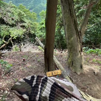 風🌪️ 4歳の頃の額がぁ…
帽子👒の風で　メートル？！分かるかな？！
めくってる訳ではないんですよ😅