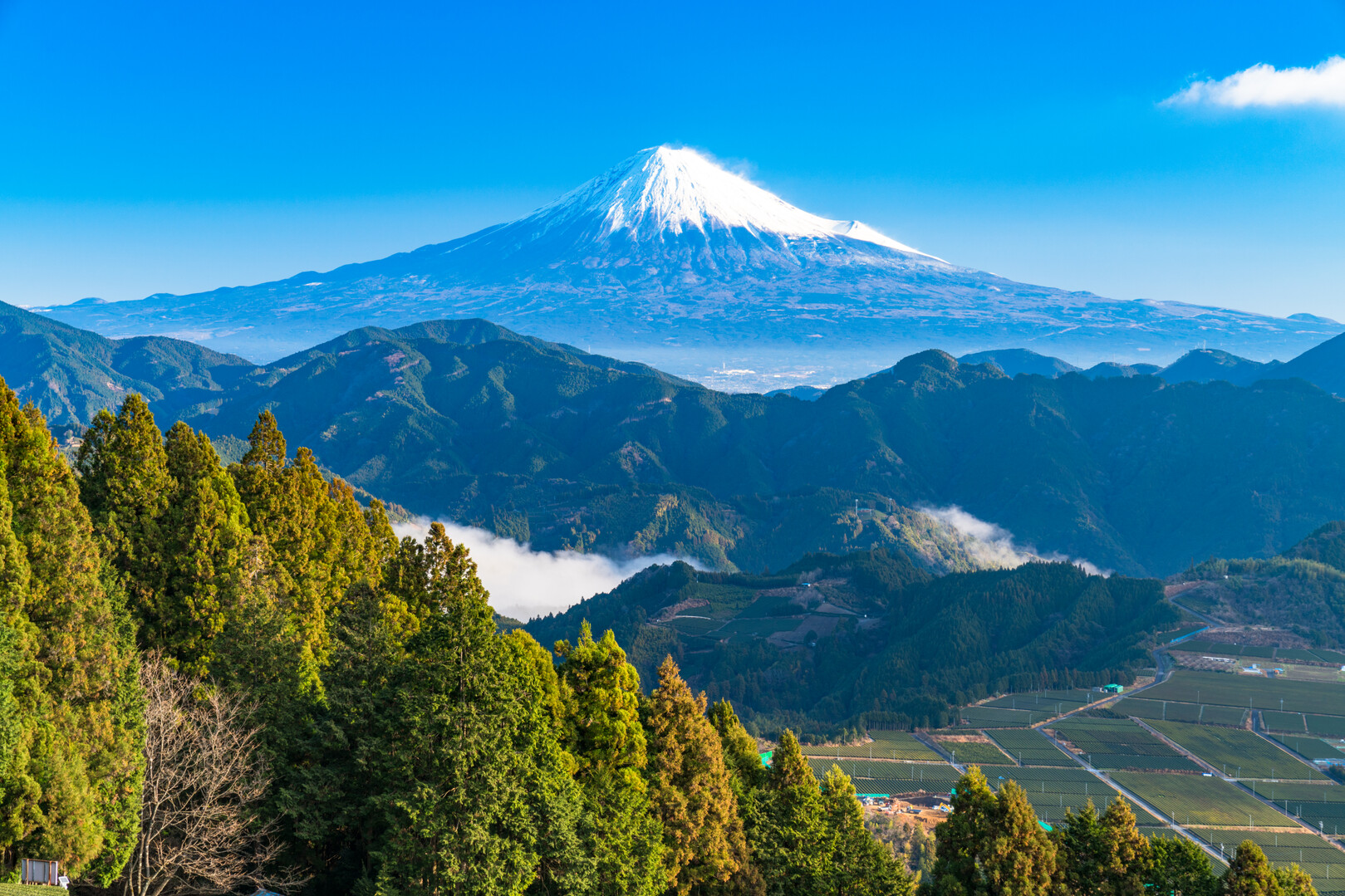 日本全国の山情報トップページ / 都道府県別の山や日本百名山、二百名