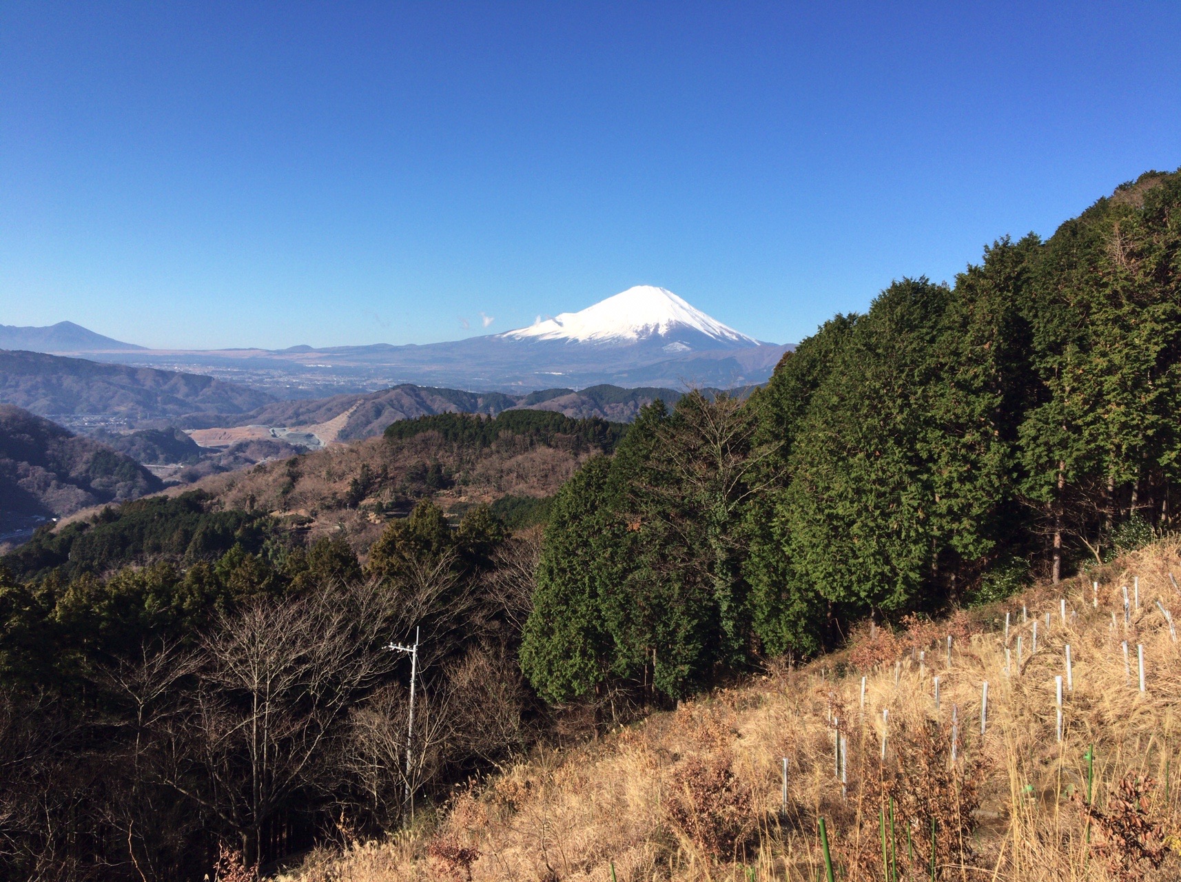 谷峨駅 大野山ハイキング 山北駅 エル丸さんの高松山 大野山の活動日記 Yamap ヤマップ