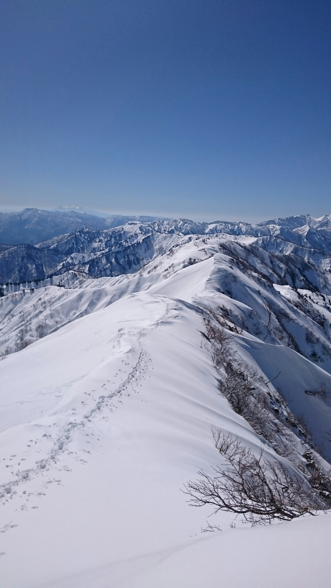 笈ヶ岳 ブナオ山ルート メタルさんの笈ヶ岳の活動データ Yamap ヤマップ