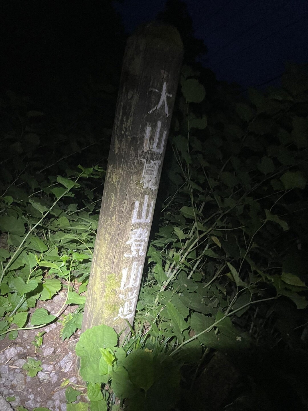 大山（弥山） / めいさんの大山・甲ヶ山・野田ヶ山の活動データ YAMAP / ヤマップ