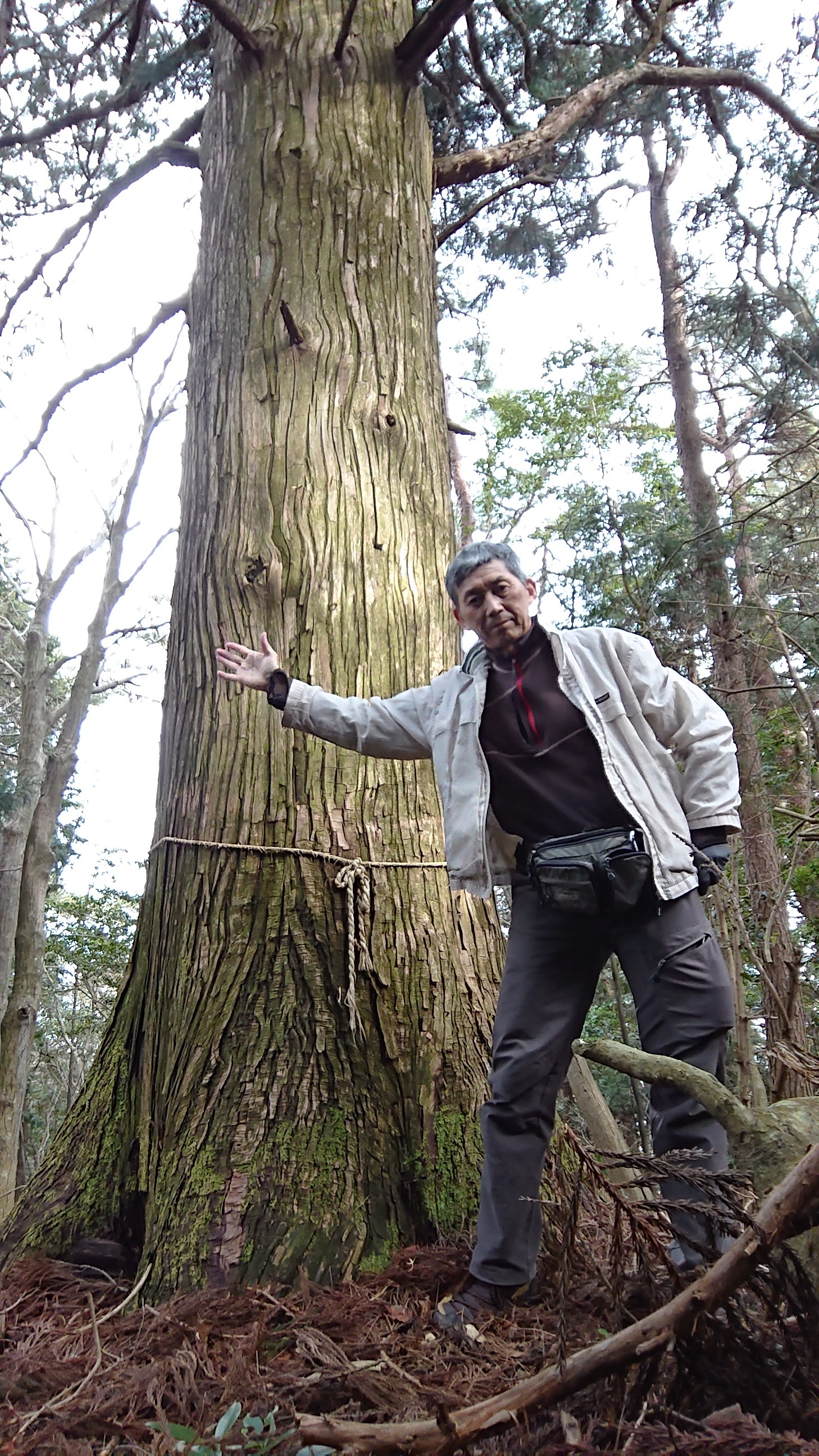 野呂山最高点 膳棚山 探訪 Nissie Babyさんの呉市 東エリアの活動日記 Yamap ヤマップ