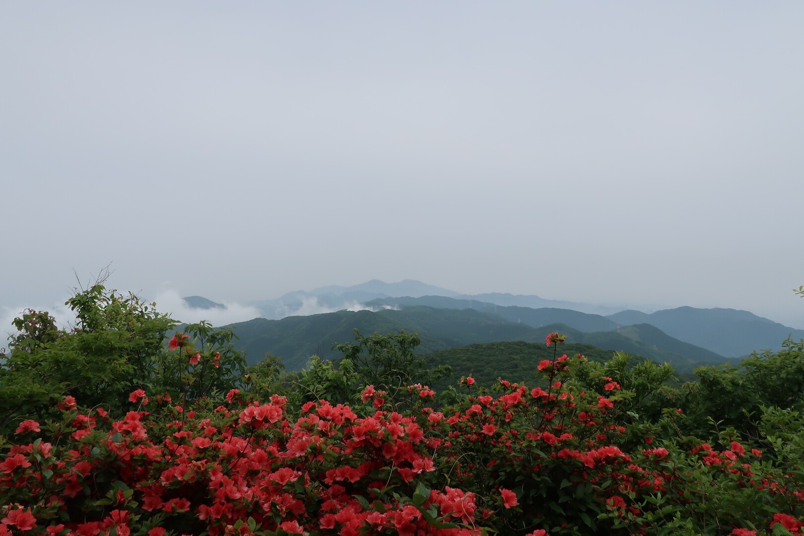 福智山地縦走！！(到津の森公園〜採銅所駅) / tokuさんの皿倉山・花尾山・帆柱山の活動データ YAMAP / ヤマップ
