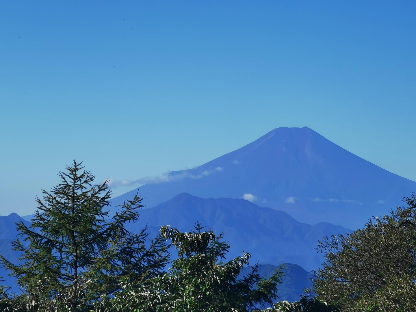扇山～百蔵山縦走-2022.10.1 / うっちゃんさんの権現山・奈良倉山の活動データ | YAMAP / ヤマップ