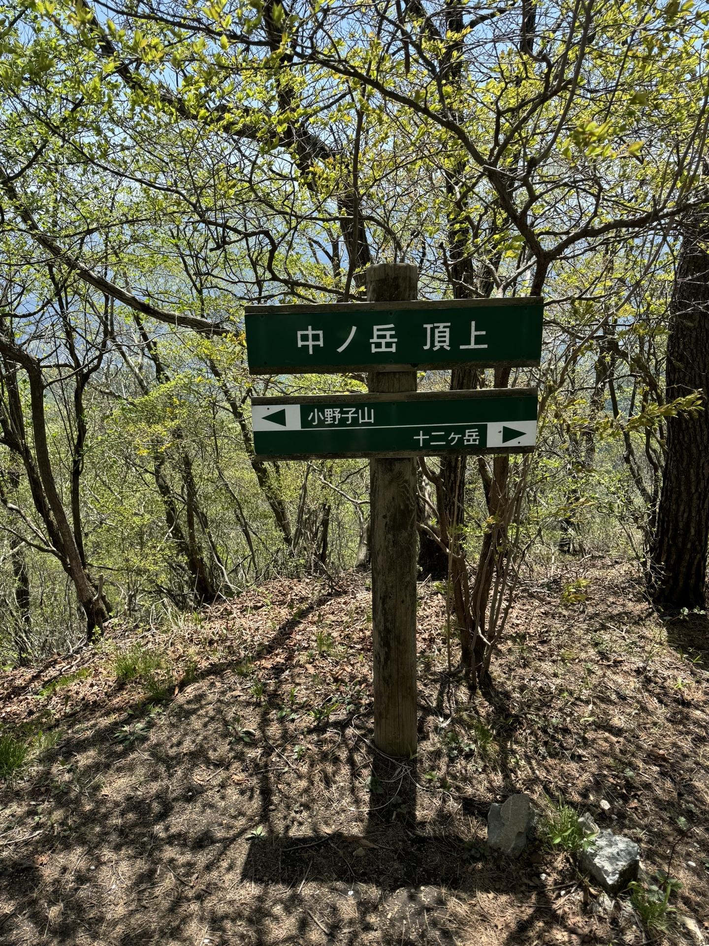 小野子山からすごく降ったあと急登を登ってやっと頂上！