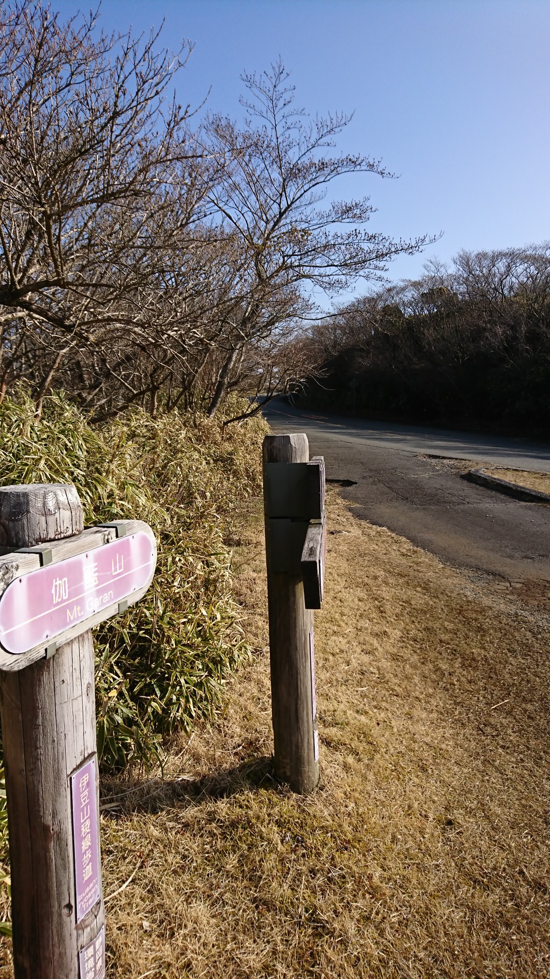 伽藍山 古稀山 達磨山 小達磨山 金冠山 ムラタコさんの金冠山 達磨山 葛城山の活動日記 Yamap ヤマップ