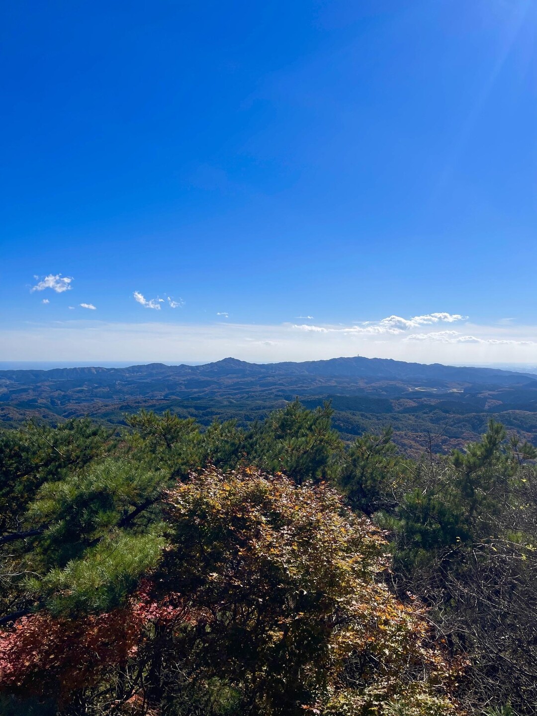 竪破山 / ゆうたりんさんの土岳・花貫渓谷・竪破山の活動データ YAMAP / ヤマップ