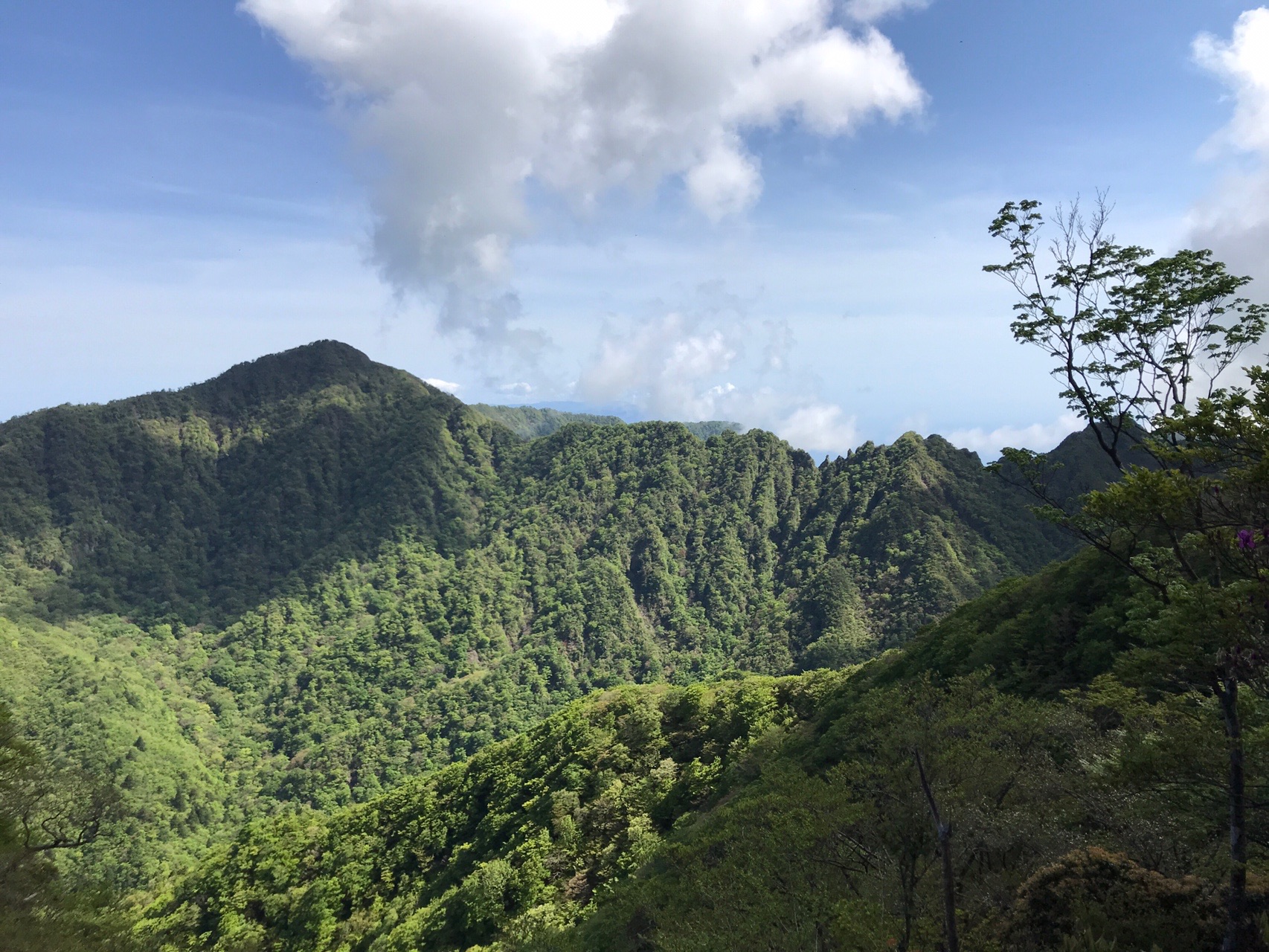 前岳 位牌岳 鋸岳 越前岳 黒岳 縦走 05 17 クロフネさんの愛鷹山 大岳 黒岳の活動データ Yamap ヤマップ