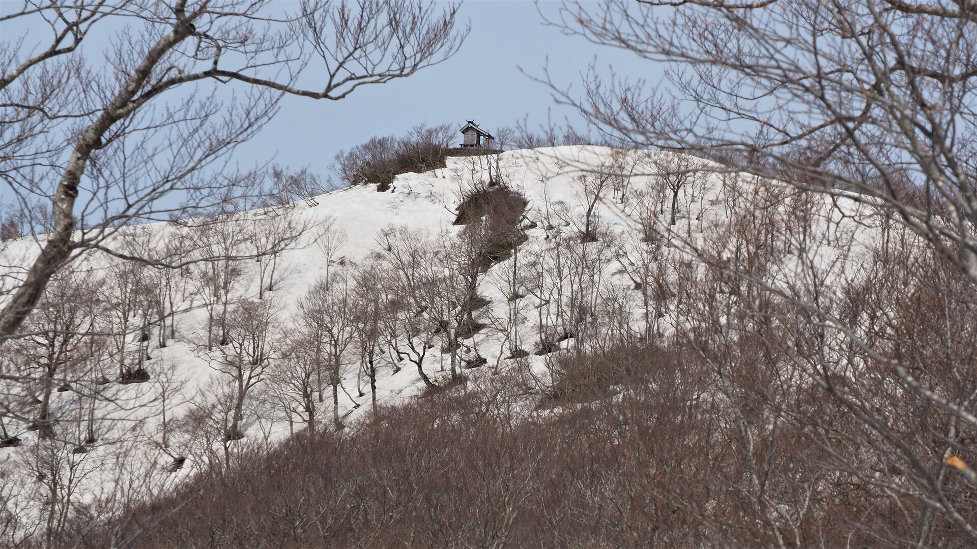 駒ヶ岳 岩手県 岩手 の登山 山頂 天気 人気のルート 最新の記録 Yamap ヤマップ