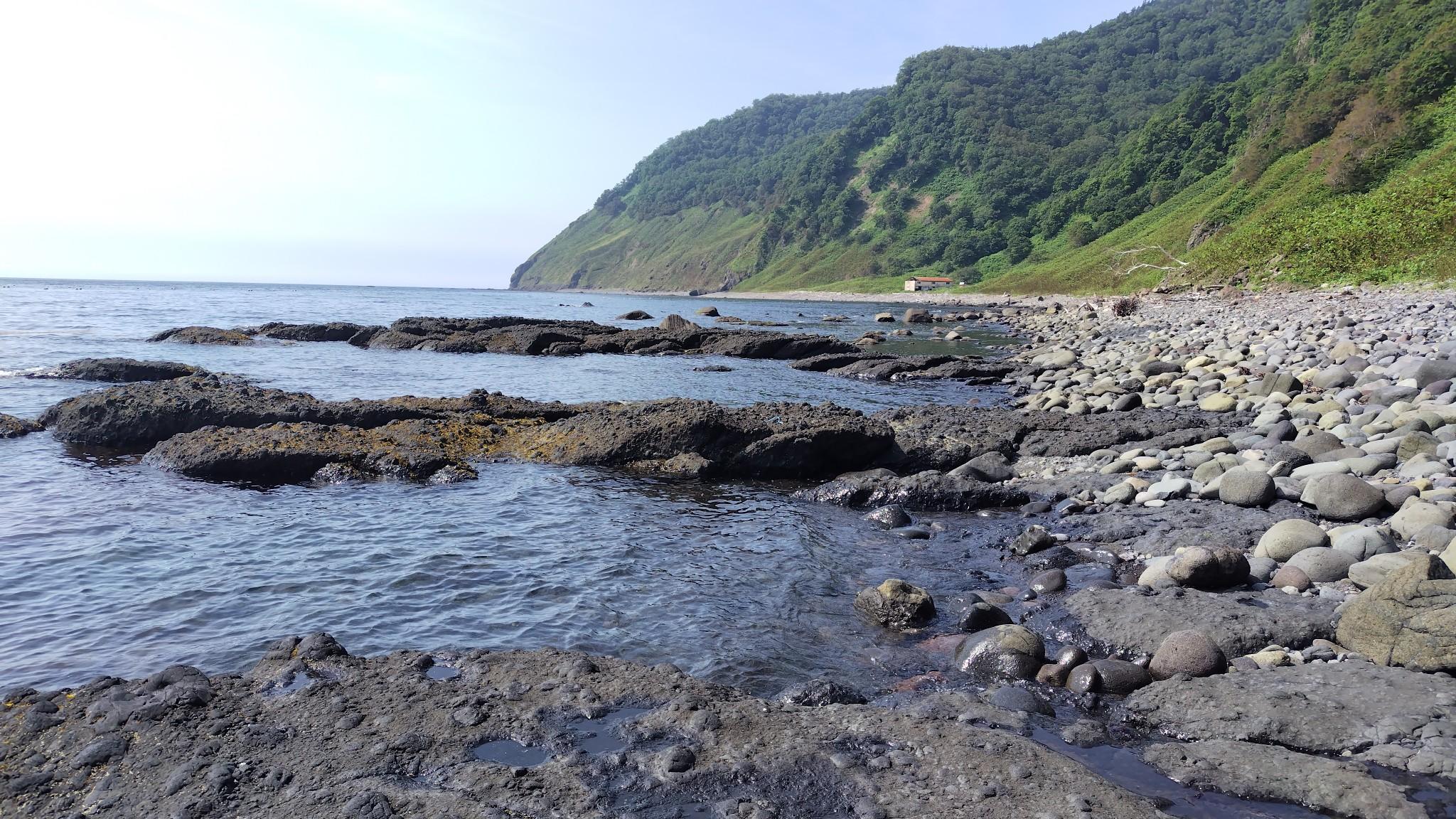 化石浜。潮がもっと引いていれば、写真でも一部露出している海底の岩盤が露出して歩きやすくなります。