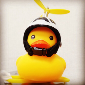 KAMIちゃん🐤