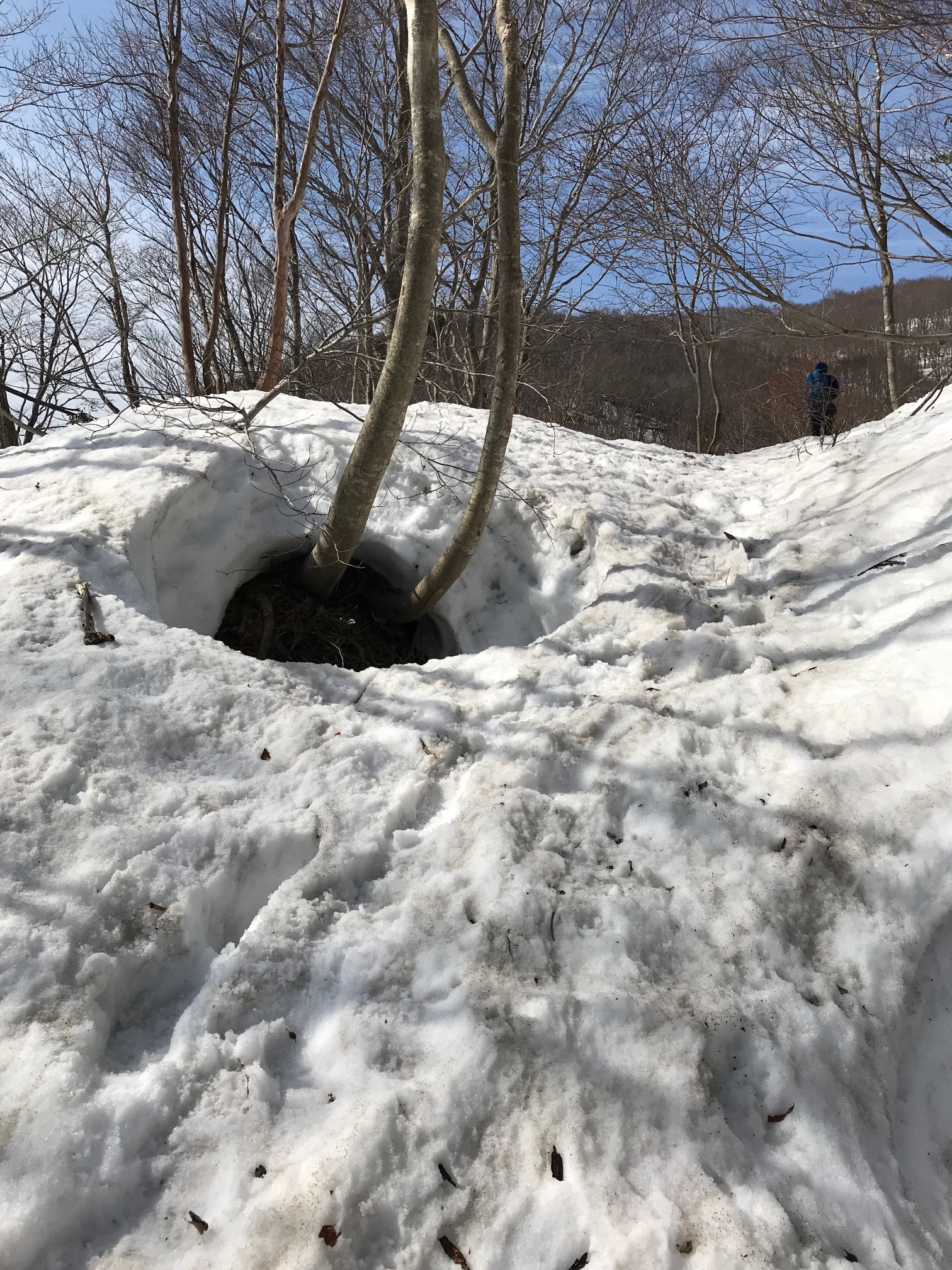 赤坂山 寒風 あつなおさんの三国山 乗鞍岳 赤坂山の活動データ Yamap ヤマップ