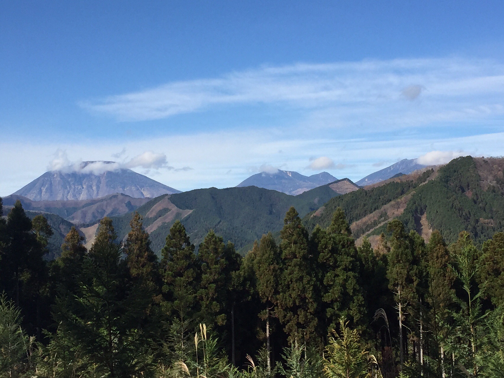 白骨死体 に遭遇した笹目倉山 鶏鳴山 火戸尻山 きのこ1951さんの鶏鳴山 笹目倉山の活動日記 Yamap ヤマップ