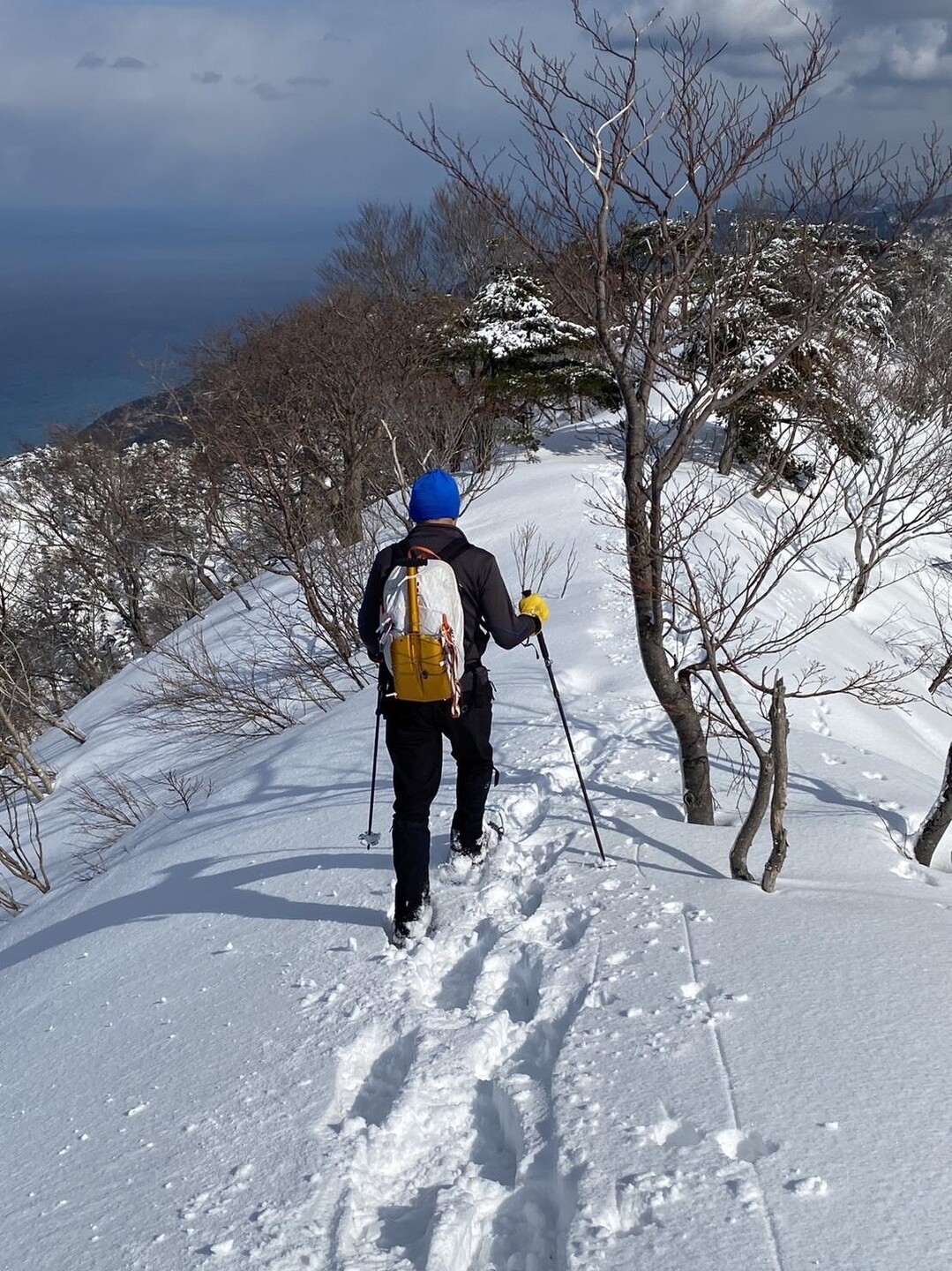 焼山から大鷲山へ縦走