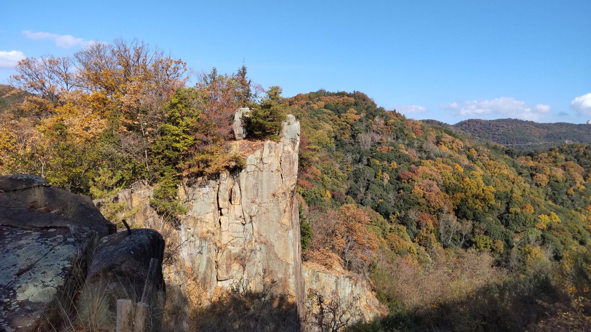 杉山登山道整備活動のお知らせ / 天空への里山（杉谷）さんの杉山・龍王山・妙見山の活動データ YAMAP / ヤマップ