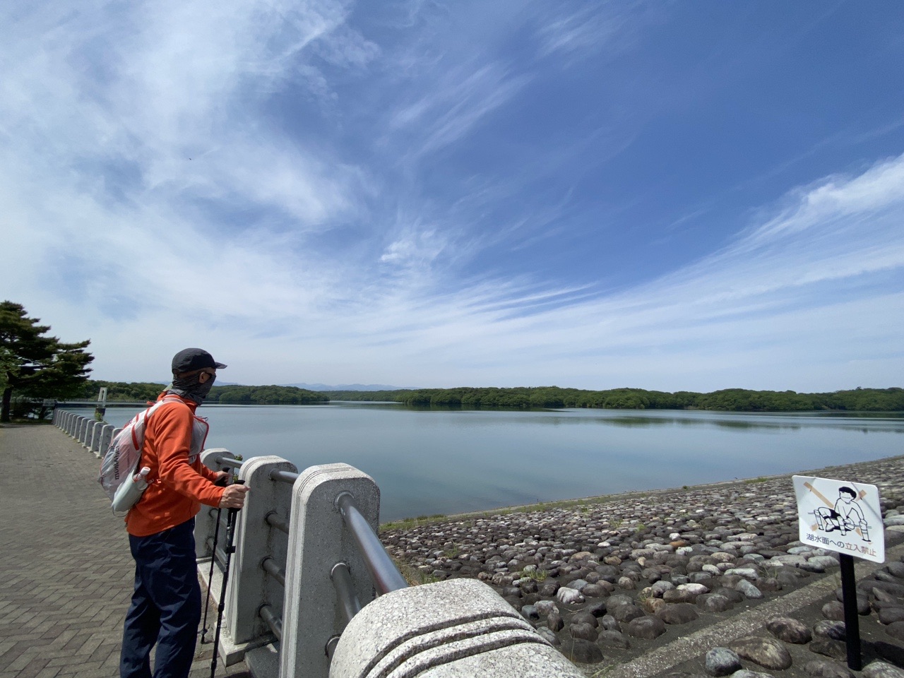 志村けんの 東村山音頭 と となりのトトロ さんぽ に乗せて 狭山丘陵歩いてみた 八国山 お伊勢山 六道山 谷津仙元富士 木霊さんの六道山 多摩湖 狭山湖の活動日記 Yamap ヤマップ