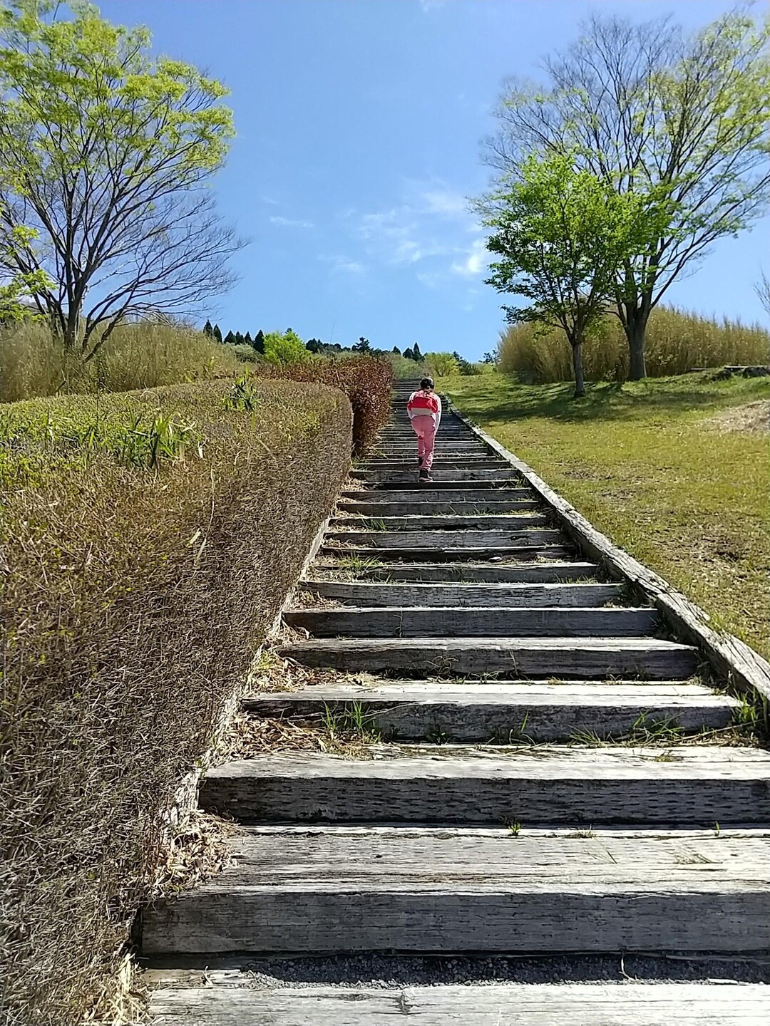 栗野岳第2峰・栗野岳 / ospreyさんの栗野岳・日添岳・えびの岳の活動データ YAMAP / ヤマップ