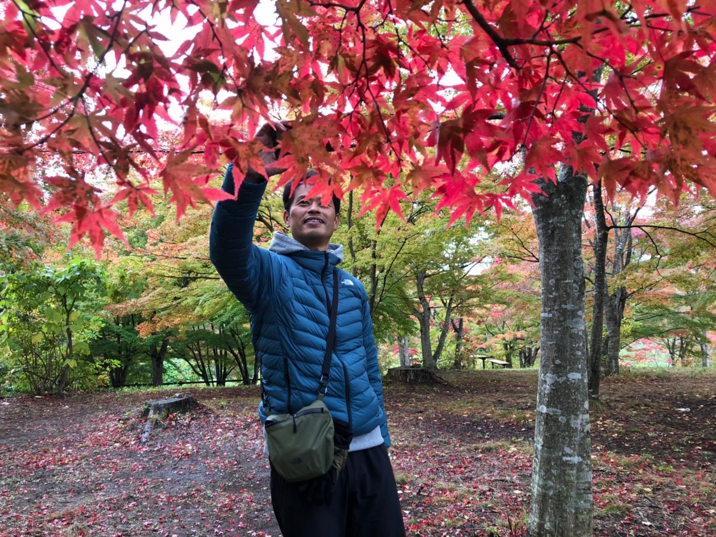 不習岳 ならわずだけ Hiroさんの八戸市の活動データ Yamap ヤマップ