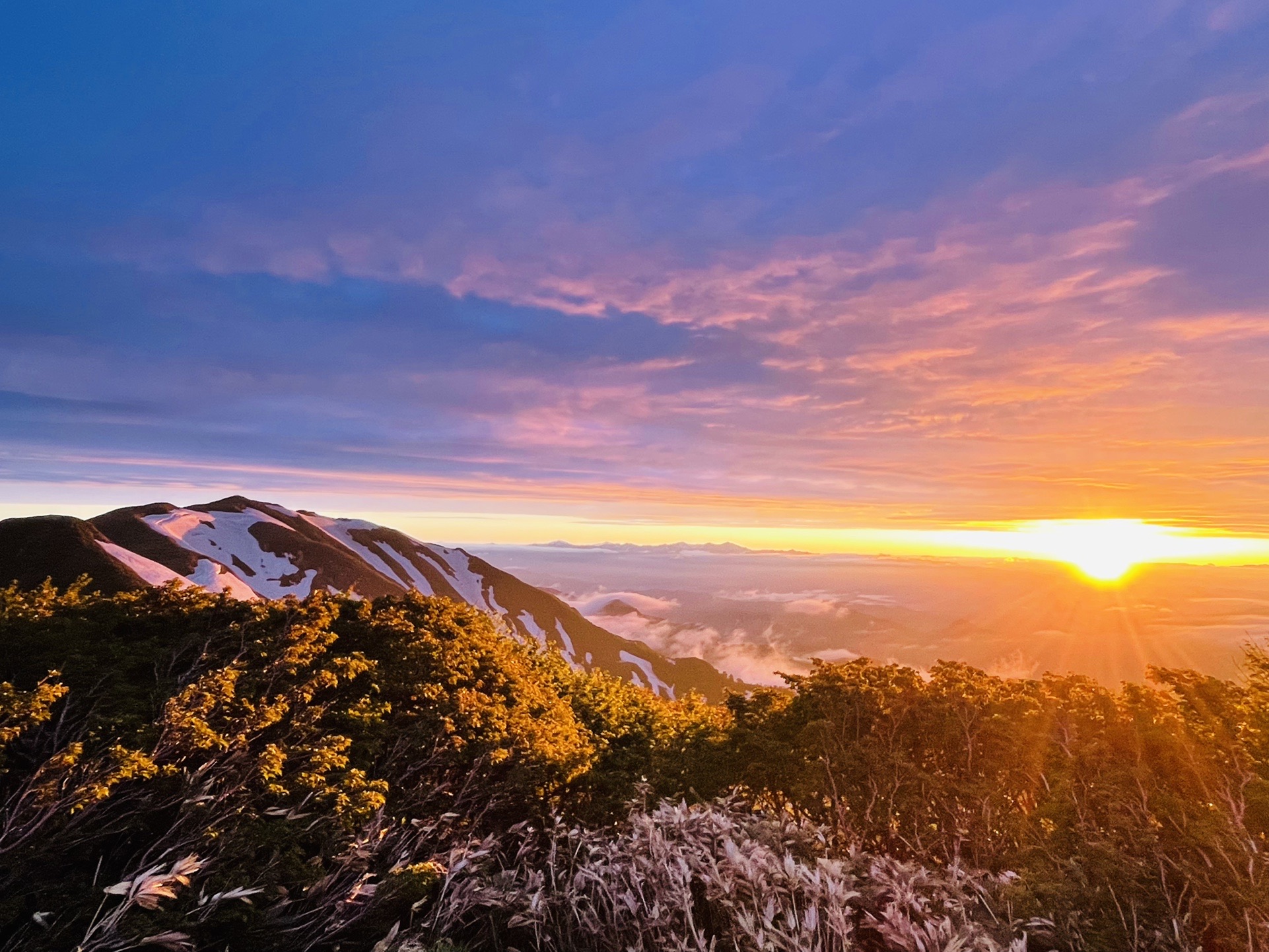 エブリもモルゲン✨
すてーきー！＼(^o^)／