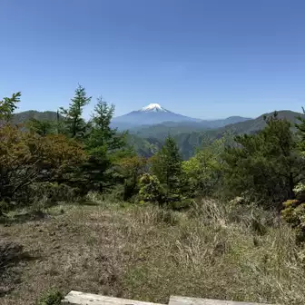 おまけに振り返れば富士山と大室山🙌　
板はベンチの残骸でしょうが、脚がなくても座るという実用性はバッチリです。