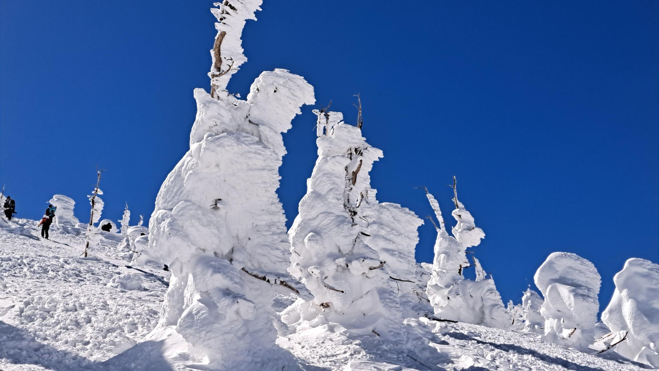 蔵王山・雁戸山・不忘山 モンスター