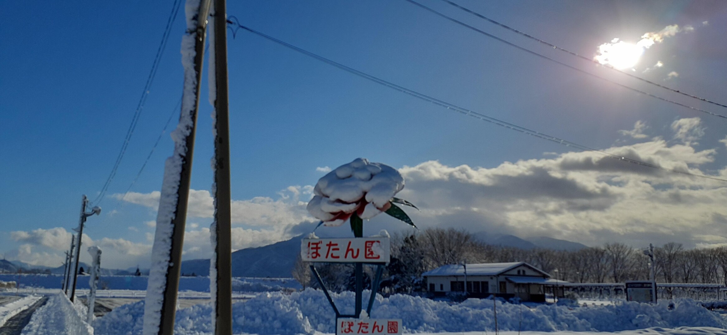☃️五泉市ウォーク…新雪 ️ / かんとしさんのウォーキングの活動データ YAMAP / ヤマップ