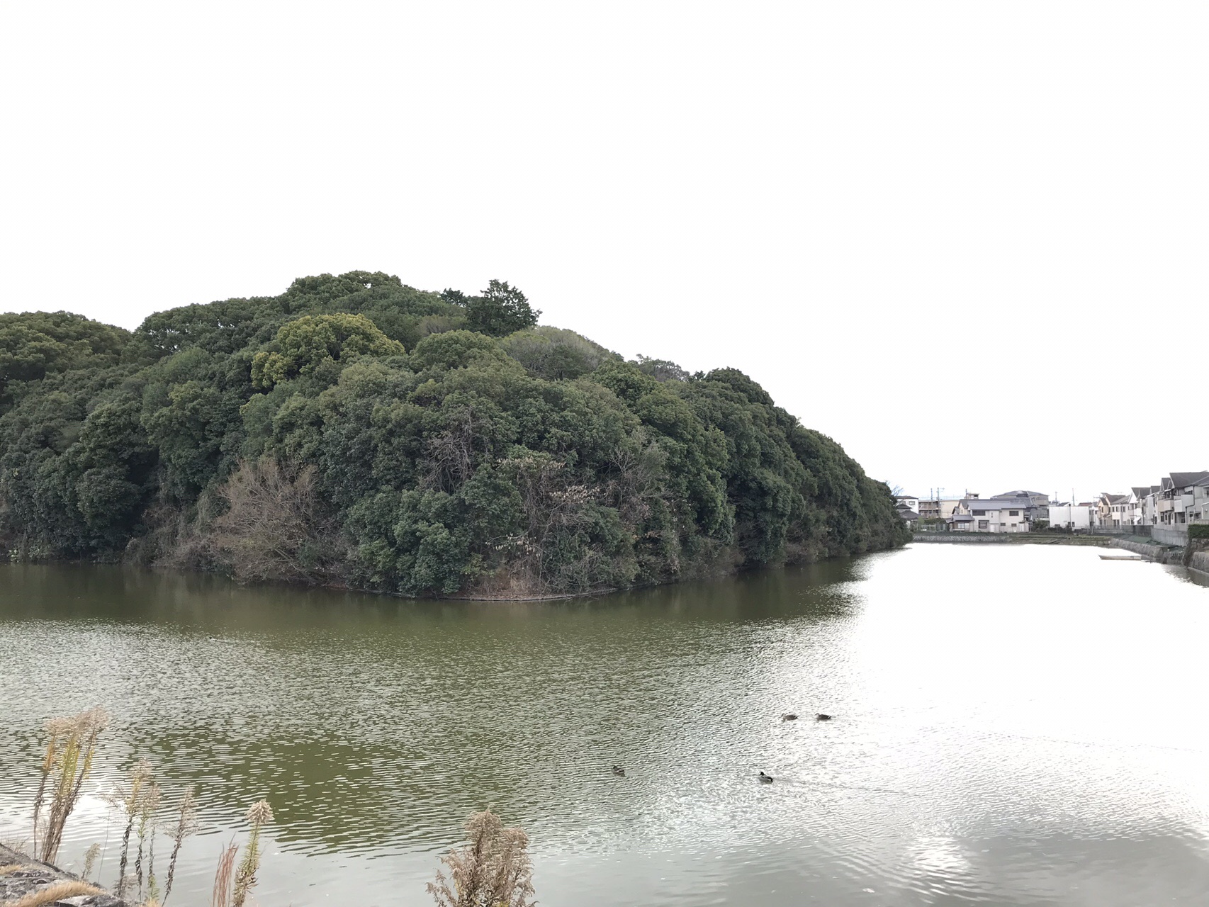 師走の百舌鳥 古市古墳群 ぶら歩き やまぶーさんの堺市の活動日記 Yamap ヤマップ
