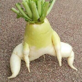 おちゃいちゃい